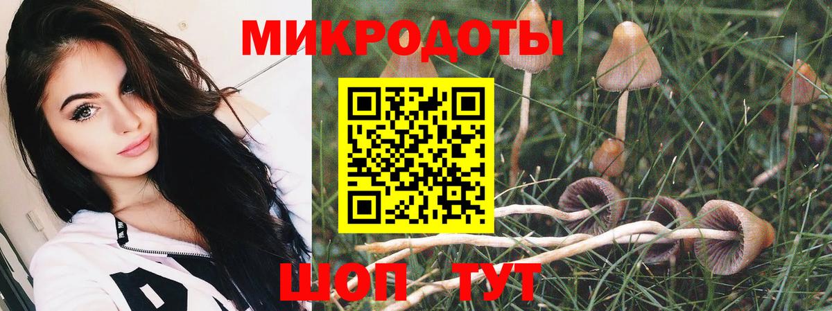 Псилоцибиновые грибы ЛСД  Галлюциногенные грибы MAGIC MUSHROOMS  хочу   Вход с VPN  Балтийск 