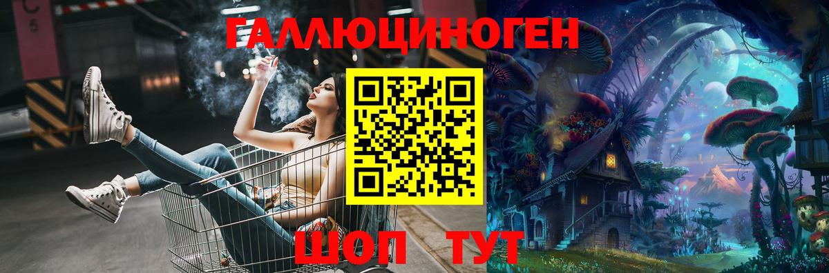 Псилоцибиновые грибы мицелий Балтийск